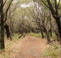 Pretty Beach to Snapper Point walking track - Accommodation Coffs Harbour