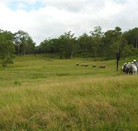 Numinbah Valley Adventure Trails - Accommodation Coffs Harbour