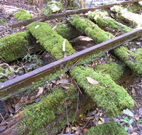 Wootton Historical Railway Walk - Accommodation Coffs Harbour