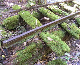 Wootton Historical Railway Walk - Accommodation Coffs Harbour 0