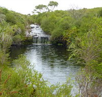 Booderee National Park Green Patch and Telegraph Creek Walking Tracks - Accommodation Coffs Harbour