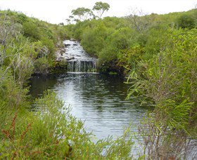 Booderee National Park: Green Patch And Telegraph Creek Walking Tracks - Accommodation Coffs Harbour 0
