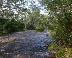 Booderee National Park: Green Patch And Telegraph Creek Walking Tracks - Accommodation Coffs Harbour 2