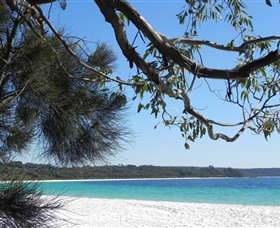 Booderee National Park: Green Patch And Telegraph Creek Walking Tracks - Accommodation Coffs Harbour 6