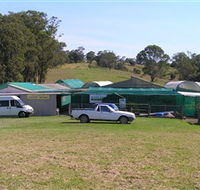 Tinonee Orchid Nursery - Accommodation Coffs Harbour