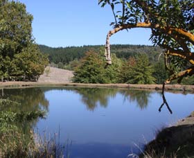 Oak Grove Walk, Balingup - Accommodation Coffs Harbour 0