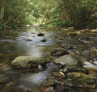 Plateau Circuit loop trail - Accommodation Coffs Harbour