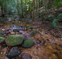 Starrs Creek picnic area - Accommodation Coffs Harbour