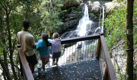 Bindarri National Park - Accommodation Coffs Harbour 1