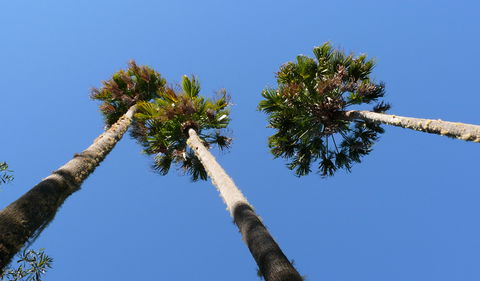 Bindarri National Park - Accommodation Coffs Harbour 0