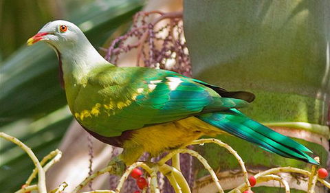 Bindarri National Park - Accommodation Coffs Harbour 3