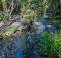 Dawson River walking track - Accommodation Coffs Harbour