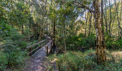 Dawson River Walking Track - Accommodation Coffs Harbour 1