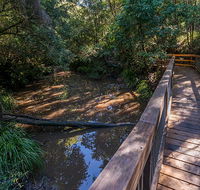 Ms Kellys walking track - Accommodation Coffs Harbour