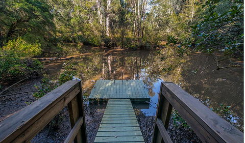 Brimbin Picnic Area - Accommodation Coffs Harbour 1