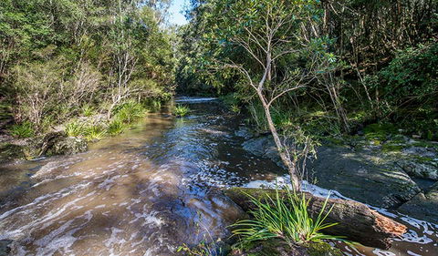 Brimbin Picnic Area - Accommodation Coffs Harbour 2