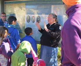 Cambewarra Mountain NSW Accommodation Coffs Harbour