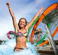 Wet'n'Wild Gold Coast - Accommodation Coffs Harbour