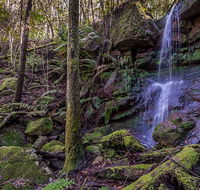 Coorabakh National Park - Accommodation Coffs Harbour