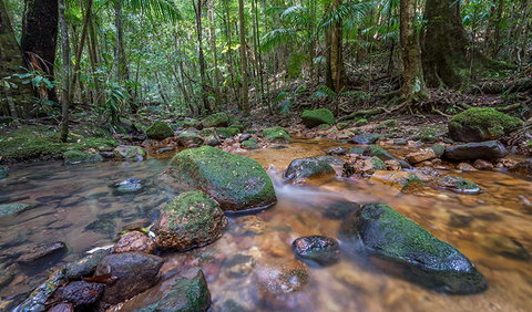 Coorabakh National Park - Accommodation Coffs Harbour 1
