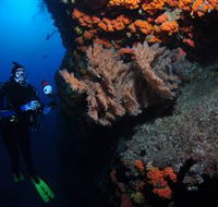 Gotham City Dive Site - Accommodation Coffs Harbour