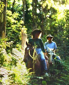  Accommodation Coffs Harbour