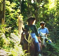 Clarendon Forest Retreat Horse Riding - Accommodation Coffs Harbour
