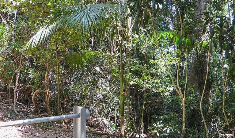 Midginbil NSW Accommodation Coffs Harbour