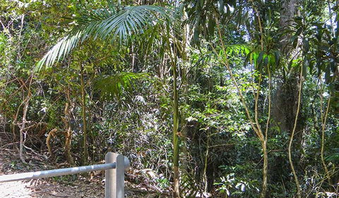 Goorgana Walking Track - Accommodation Coffs Harbour 0