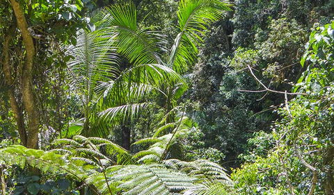 Goorgana Walking Track - Accommodation Coffs Harbour 1