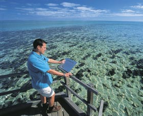 Hamelin Pool Stromatolites - Accommodation Coffs Harbour 2