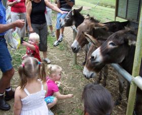Crystal Creek Miniatures - Accommodation Coffs Harbour 1