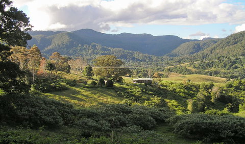 Mount Nardi Picnic Area - Accommodation Coffs Harbour 0