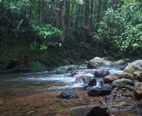 Protesters Falls - Accommodation Coffs Harbour 1