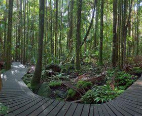 Protesters Falls - Accommodation Coffs Harbour 4