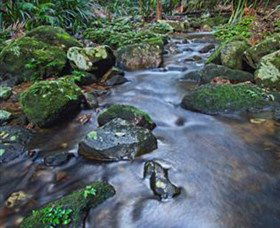 Protesters Falls - Accommodation Coffs Harbour 7