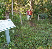 Rainforest walk - Accommodation Coffs Harbour