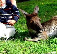 Bunbury Wildlife Park - Accommodation Coffs Harbour