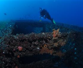 Cementco Dive Site - Accommodation Coffs Harbour 3