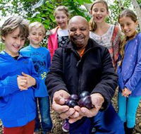 Wigay Aboriginal Culture Park - Accommodation Coffs Harbour