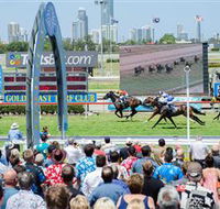 Gold Coast Turf Club - Accommodation Coffs Harbour