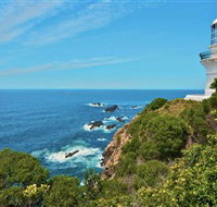 Myall Lakes National Park - Accommodation Coffs Harbour