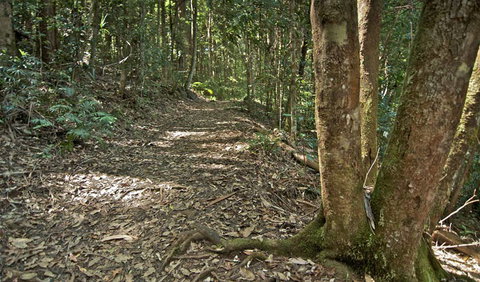 Whian Whian State Conservation Area - Accommodation Coffs Harbour 2