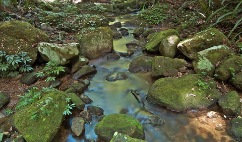 Whian Whian State Conservation Area - Accommodation Coffs Harbour 3