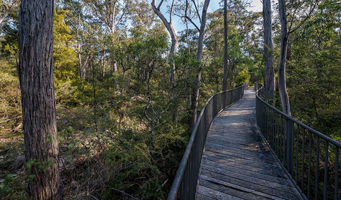 Myanba Gorge Walking Track - Accommodation Coffs Harbour 1