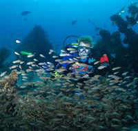 Aarhus Dive Site - Accommodation Coffs Harbour