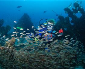 Aarhus Dive Site - Accommodation Coffs Harbour 0