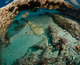 Aarhus Dive Site - Accommodation Coffs Harbour 3