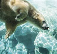 Australia's Sea World - Accommodation Coffs Harbour