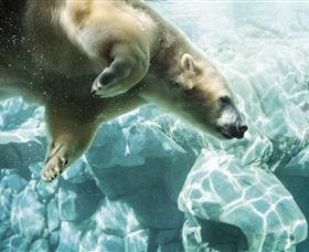 Australia's Sea World - Accommodation Coffs Harbour 0